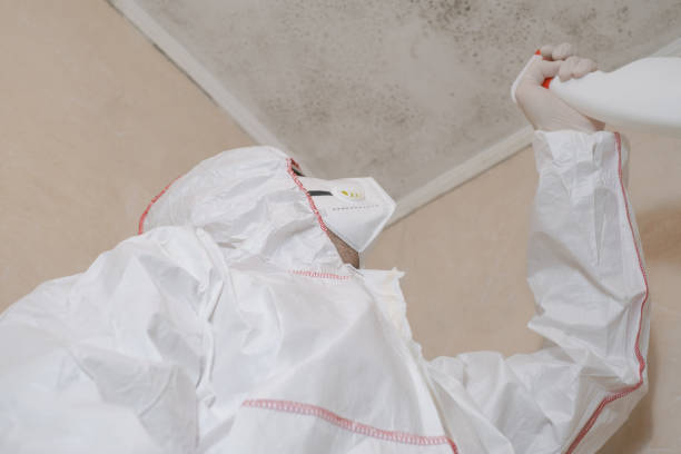 Best Emergency Mold Removal  in Moulton, AL