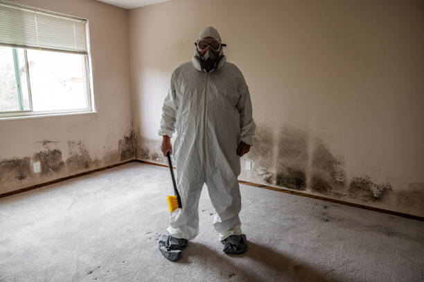 Trusted Moulton, AL Mold Removal Experts